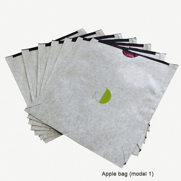 Apple bag 1