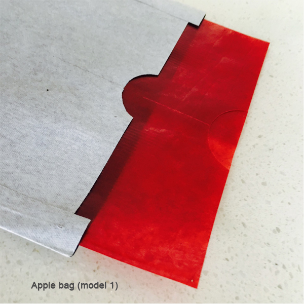 apple bag 3