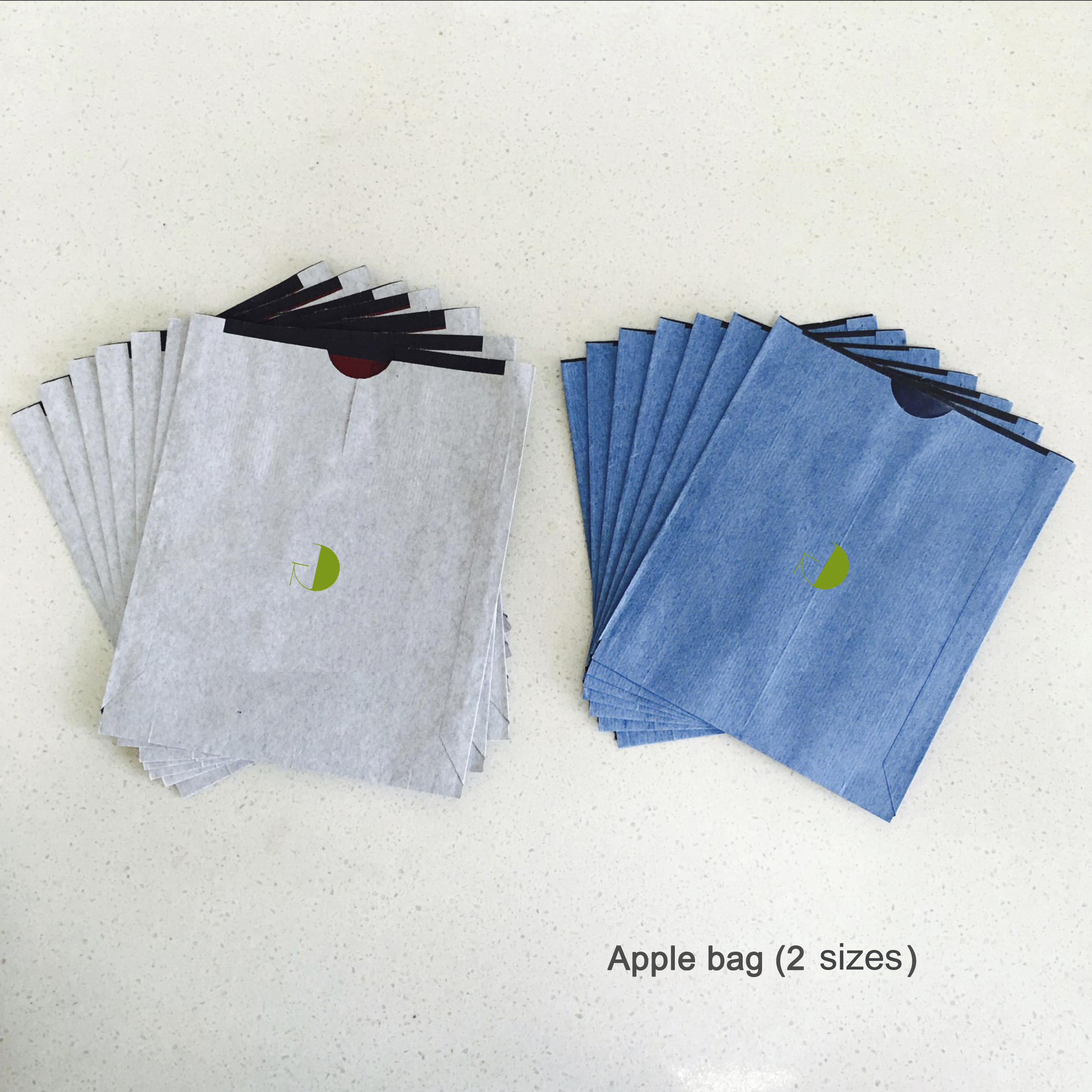 apple bag 2