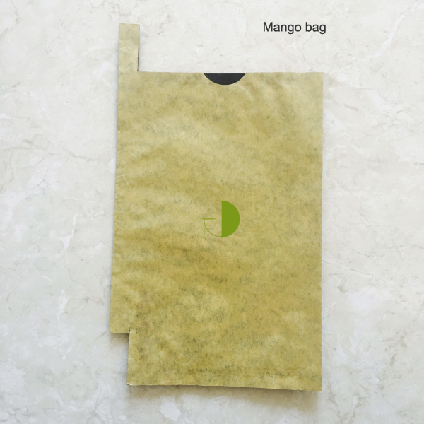 mango bag